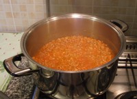 /album/galleria-fotografica/dscf4606-copia-jpg1/